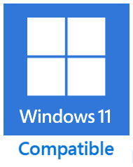win 11